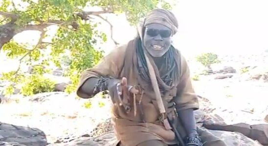 Mali Youssouf Toloba military leader of the militia dan na