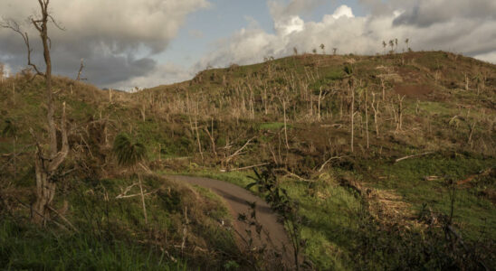 Mayotte two months after the Cyclone Chido experts are worried