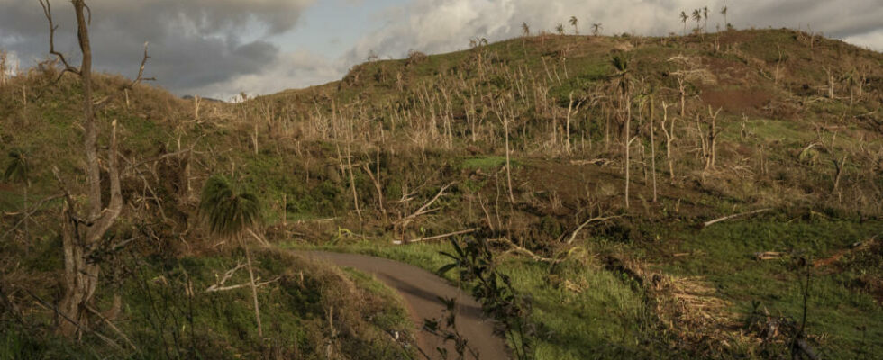 Mayotte two months after the Cyclone Chido experts are worried