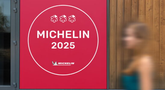 Michelin guide 2025 the list of restaurants that lose their