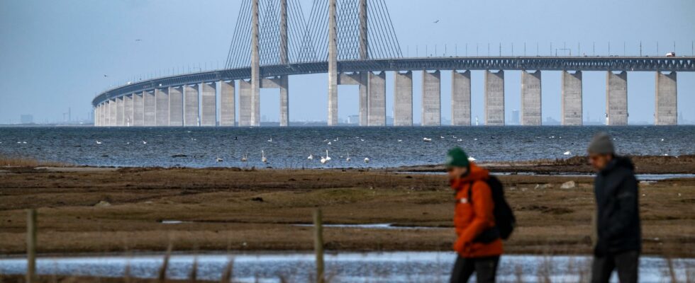 Oresund Bridge closed after accident