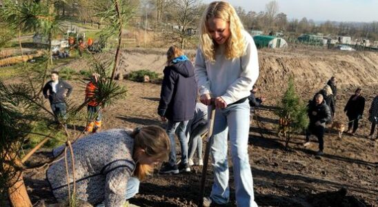 Primary school students plant trees for New Forest Wijk bij