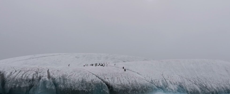 Research team on Antarctica asks for help after threats