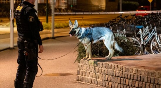 Suspected attempted murder in Malmo a arrest