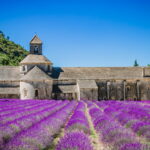 The Notre Dame de Senanque abbey a jewel of Provence in