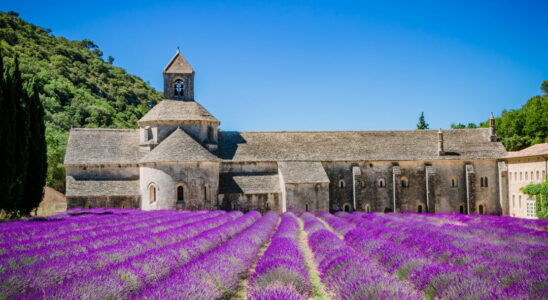 The Notre Dame de Senanque abbey a jewel of Provence in