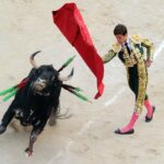 The bullfight had never been filmed like this LExpress