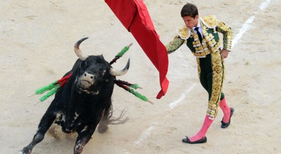 The bullfight had never been filmed like this LExpress