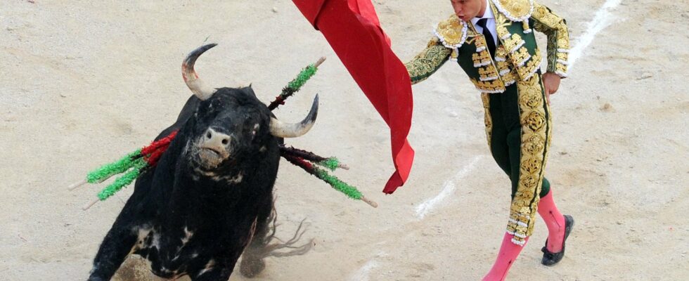 The bullfight had never been filmed like this LExpress