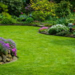 The lawn will be more beautiful and greener by placing