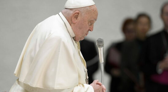 The resignation of Pope Francis mentioned to the Vatican three