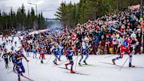 The wild sight at the World Championships in the World