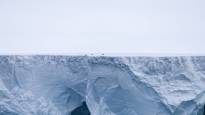 The worlds largest iceberg got stuck to the bottom before