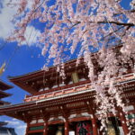 Tokyos iconic temple