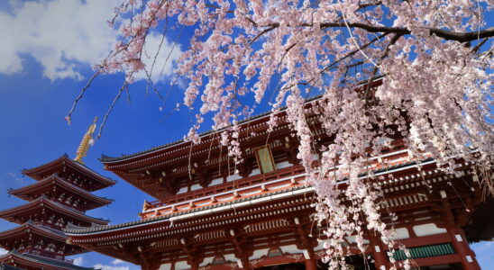 Tokyos iconic temple