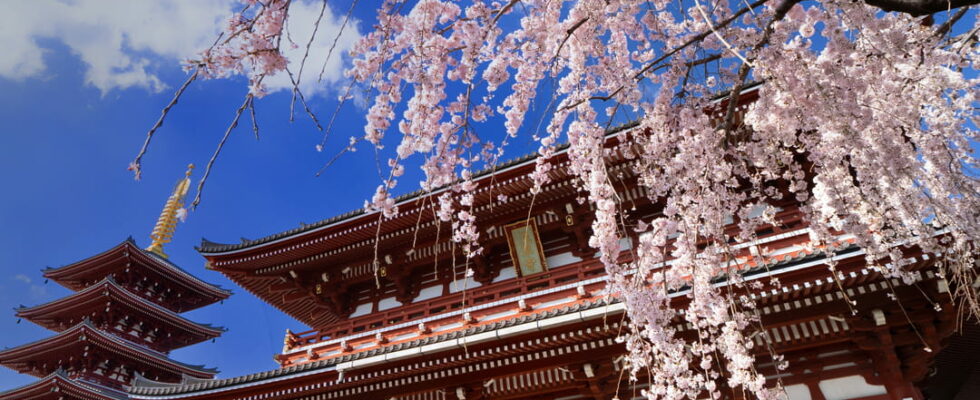 Tokyos iconic temple