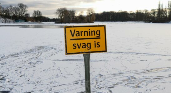 Treeding ice creams more drowning accidents