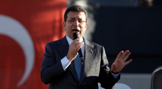 Turkiye the pro kurdish party DEM supports the opponent Ekrem Imamoglu