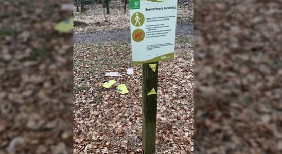 Vandals destroy plates of leash obligation for dogs in wolven