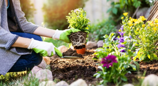 Watch out for false spring this weather phenomenon will still