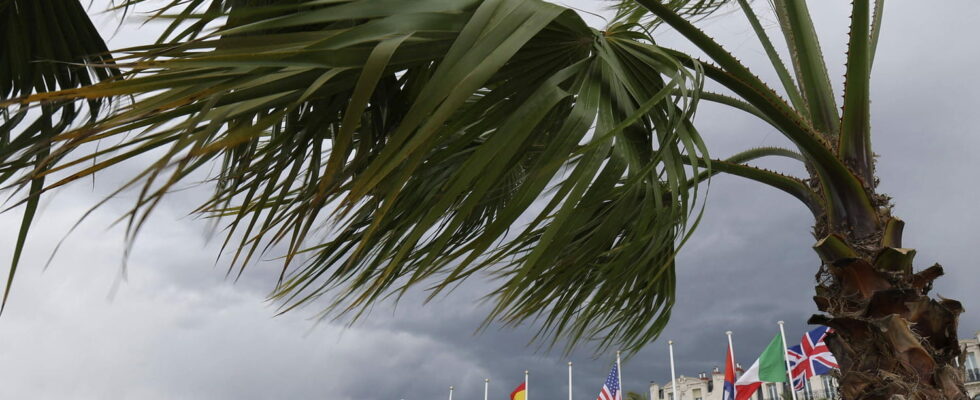 Weather five departments in orange alert strong winds and submersives