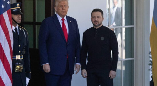 What Trump and Zelensky really said