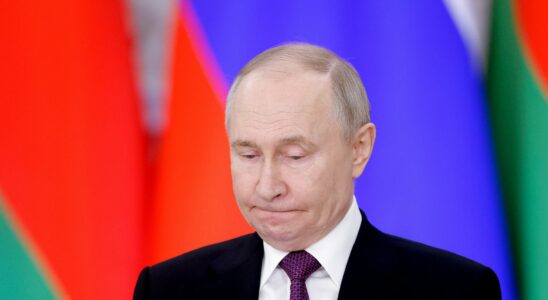 important questions remain for a truce according to Vladimir Putin